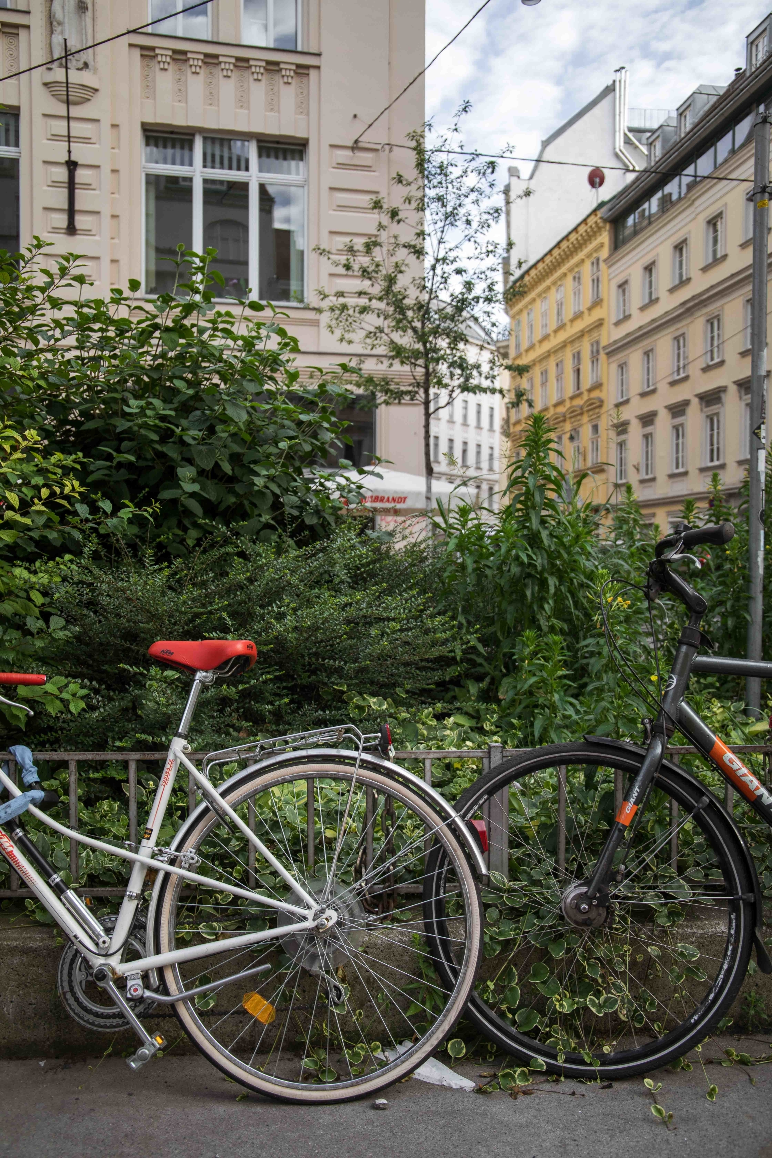 Neubau vienna district bicycle